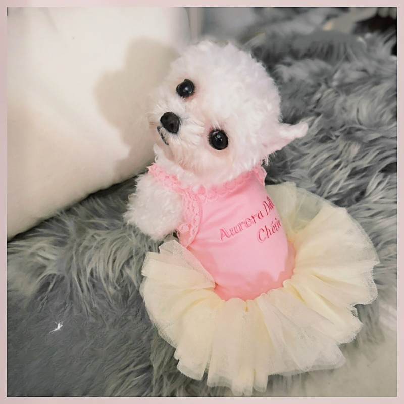Розовое кружевное платье-туту  – обзор и цена Embroidery Cream